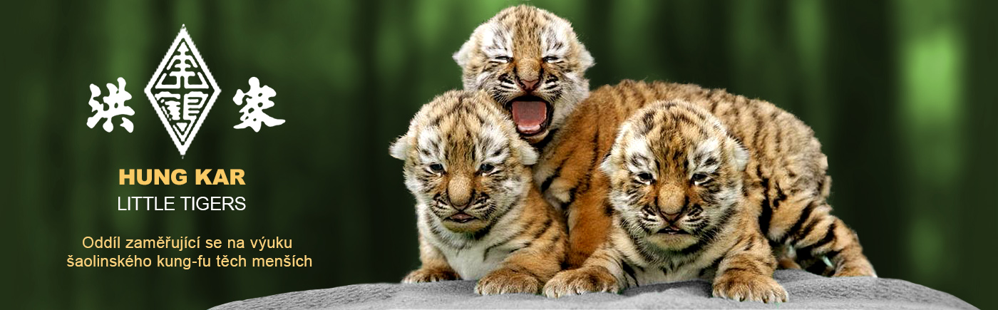 Hung Kar Little Tigers